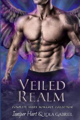 Book cover for Veiled Realm