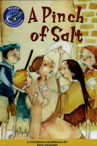 Cover of Navigator: A Pinch of Salt Biscuits Guided Reading Pack