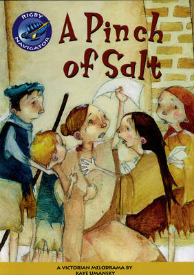 Book cover for Navigator: A Pinch of Salt Biscuits Guided Reading Pack