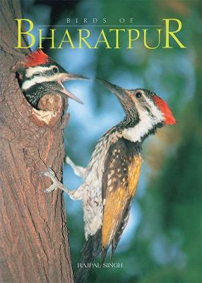 Book cover for Birds of Bharatpur