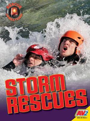 Cover of Storm Rescues