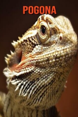 Cover of Pogona