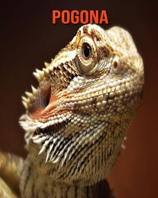 Book cover for Pogona