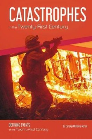 Cover of Catastrophes of the 21st Century