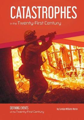 Cover of Catastrophes of the 21st Century