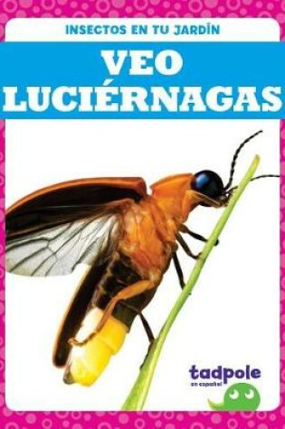 Cover of Veo Luciernagas (I See Fireflies)