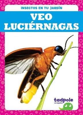 Book cover for Veo Luciernagas (I See Fireflies)