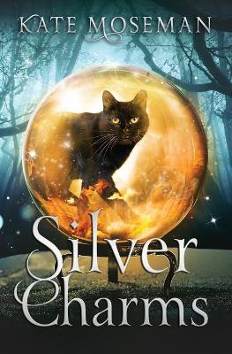 Book cover for Silver Charms