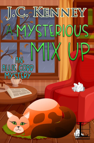 Cover of A Mysterious Mix Up