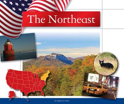 Book cover for The Northeast