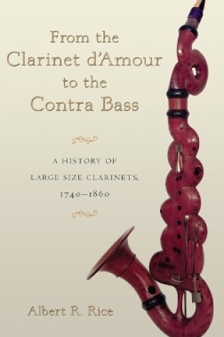 Cover of From the Clarinet D'Amour to the Contra Bass