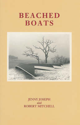 Book cover for Beached Boats