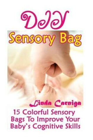 Cover of DIY Sensory Bags