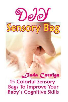 Book cover for DIY Sensory Bags