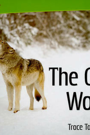 Cover of The Gray Wolf