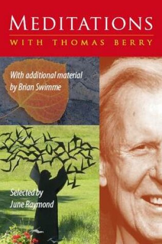 Cover of Meditations with Thomas Berry