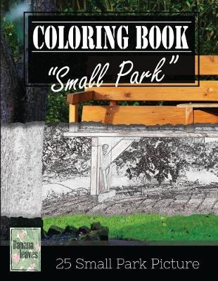Book cover for Small Park Citylife Greyscale Photo Adult Coloring Book, Mind Relaxation Stress Relief