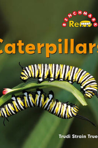 Cover of Caterpillars