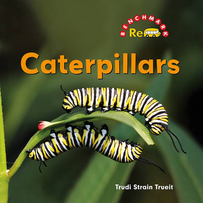 Book cover for Caterpillars