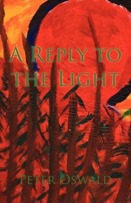 Book cover for A Reply to the Light