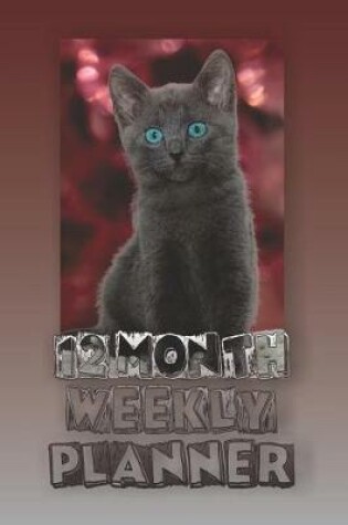 Cover of 12 Month Weekly Planner