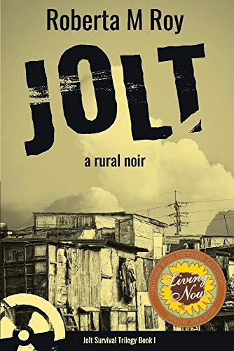 Book cover for Jolt