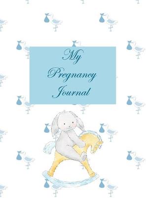 Book cover for My Pregnancy Journal