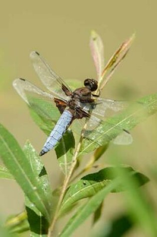 Cover of Dragonfly on a Branch (for the Love of Nature)