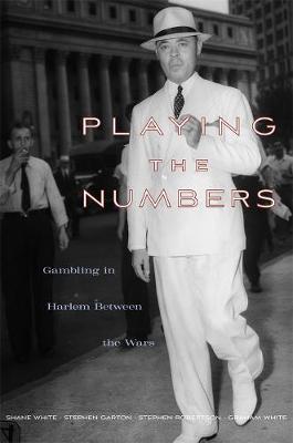 Book cover for Playing the Numbers