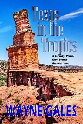 Book cover for Texas in the Tropics