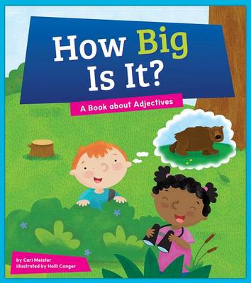 Cover of How Big Is It?