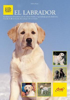 Cover of El labrador