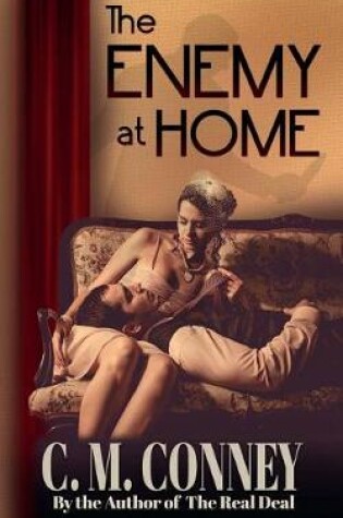 Cover of The Enemy at Home