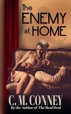 Book cover for The Enemy at Home