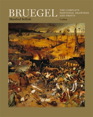 Book cover for Bruegel