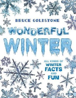 Book cover for Wonderful Winter