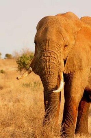 Cover of An Elephant on the Plains of Africa, for the Love of Animals