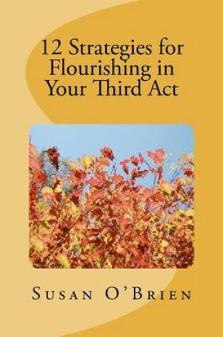 Cover of 12 Strategies for Flourishing in your 3rd Act