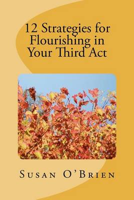 Book cover for 12 Strategies for Flourishing in your 3rd Act