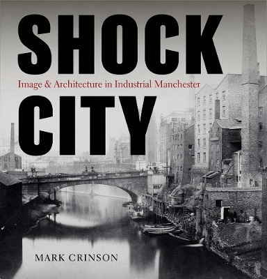 Book cover for Shock City