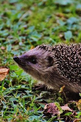 Book cover for A Hedgehog Sniffing the Air Journal