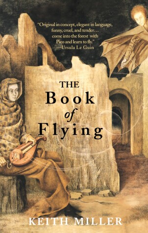 Book cover for The Book of Flying