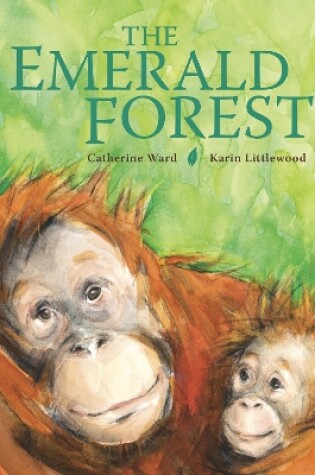 Cover of The Emerald Forest