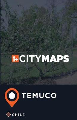 Book cover for City Maps Temuco Chile