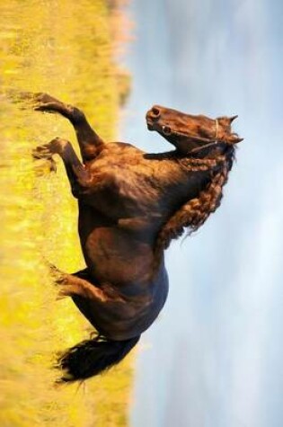 Cover of A Beautiful Brown Horse Galloping in a Field