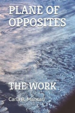 Cover of The Plane of Opposites