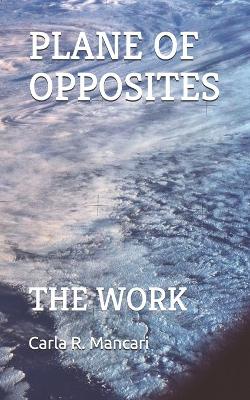 Book cover for The Plane of Opposites