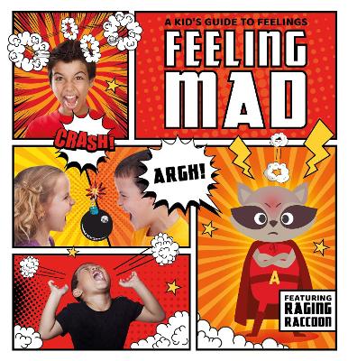 Cover of Feeling Mad