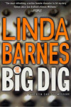 Book cover for The Big Dig