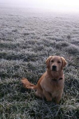 Cover of Golden Retriever in a Frosty Meadow Journal